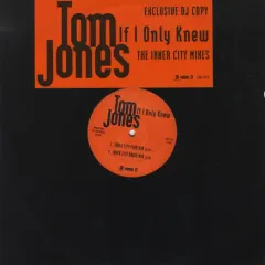 If I Only Knew (The Inner City Mixes)