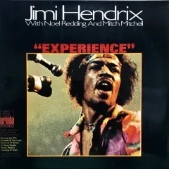 Experience