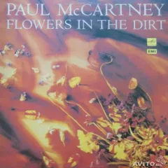 Flowers In The Dirt