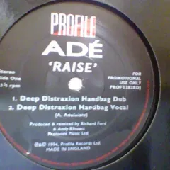 Raise (Remixes)