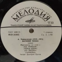 Василий Тёркин, Поэма