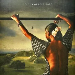 Soldier Of Love