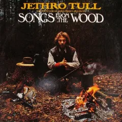 Songs From The Wood
