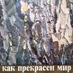Как Прекрасен Мир