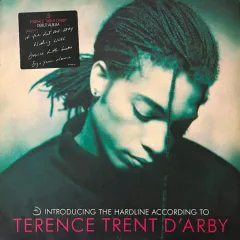 Introducing The Hardline According To Terence Trent D'Arby