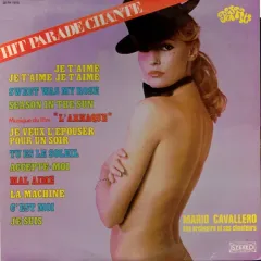 Hit Parade Chante - Pop Hits Vol.15