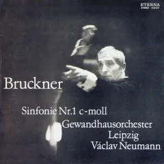 Sinfonie Nr. 1 C-moll