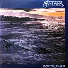 Moonflower
