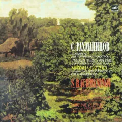 Mikhail Pletnev Conductors: Vasili Sinaisky, Yuri Temirkanov - Piano Concerto No. 1 / Rhapsody On A Theme Of Paganini