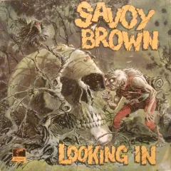 Looking In 1970 USA