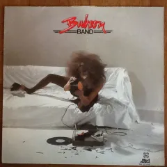 Baboon Band