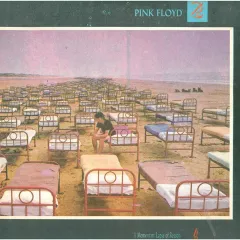 A Momentary Lapse Of Reason = Необяснима Постъпка