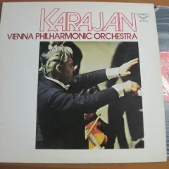 The Vienna Of Johann Strauss