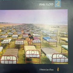 A Momentary Lapse Of Reason