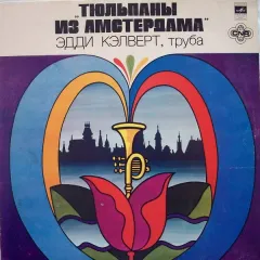 Тюльпаны Из Амстердама