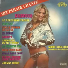 Hit Parade Chante Pop Hits Vol 16