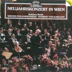 Neujahrskonzert In Wien