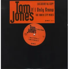 If I Only Knew (The Inner City Mixes)