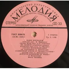 Нани Брегвадзе