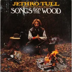 Songs From The Wood