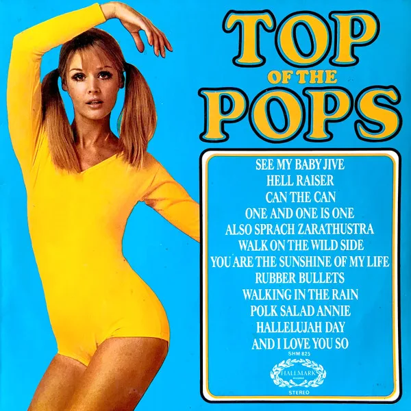 Unknown Artist — Top Of The Pops Vol. 31 1973 UK